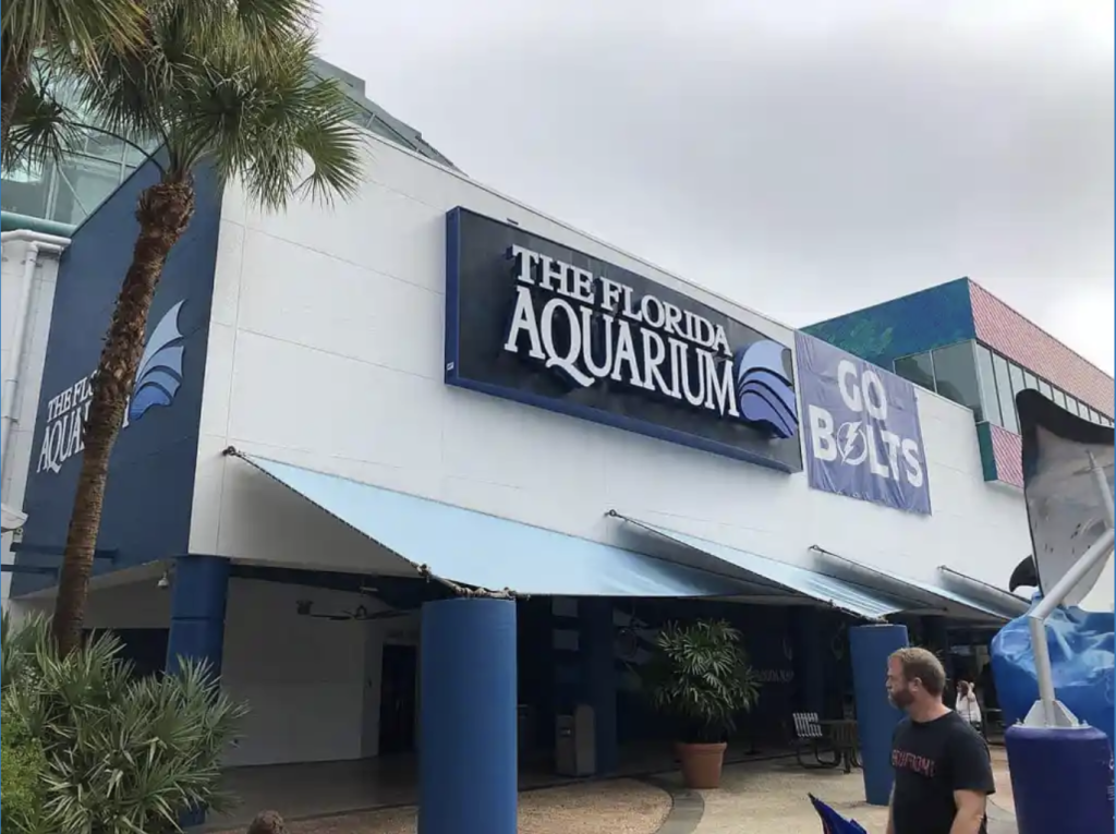 Top 10 Largest Aquariums In The United States in 2024